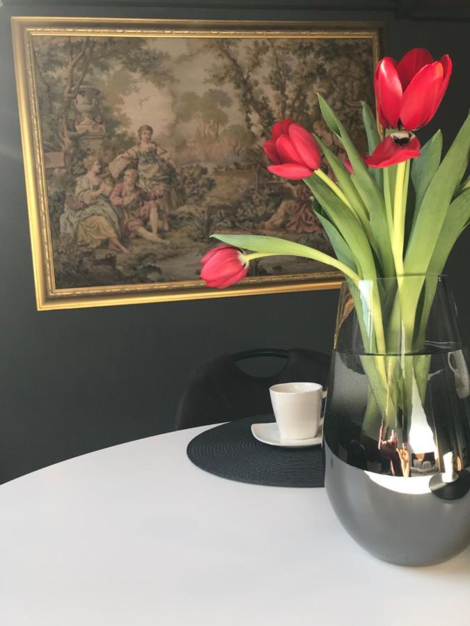 Savoya Nr2 Loft Studio Old City Center Self Check-In Workspace تيميشورا المظهر الخارجي الصورة